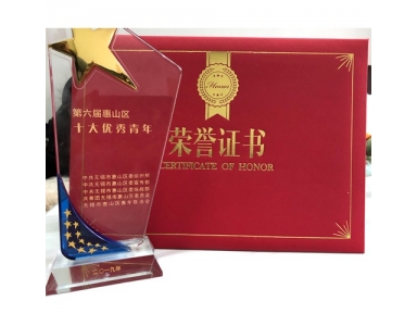 惠山区十佳优秀青年
