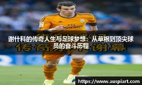MKsport